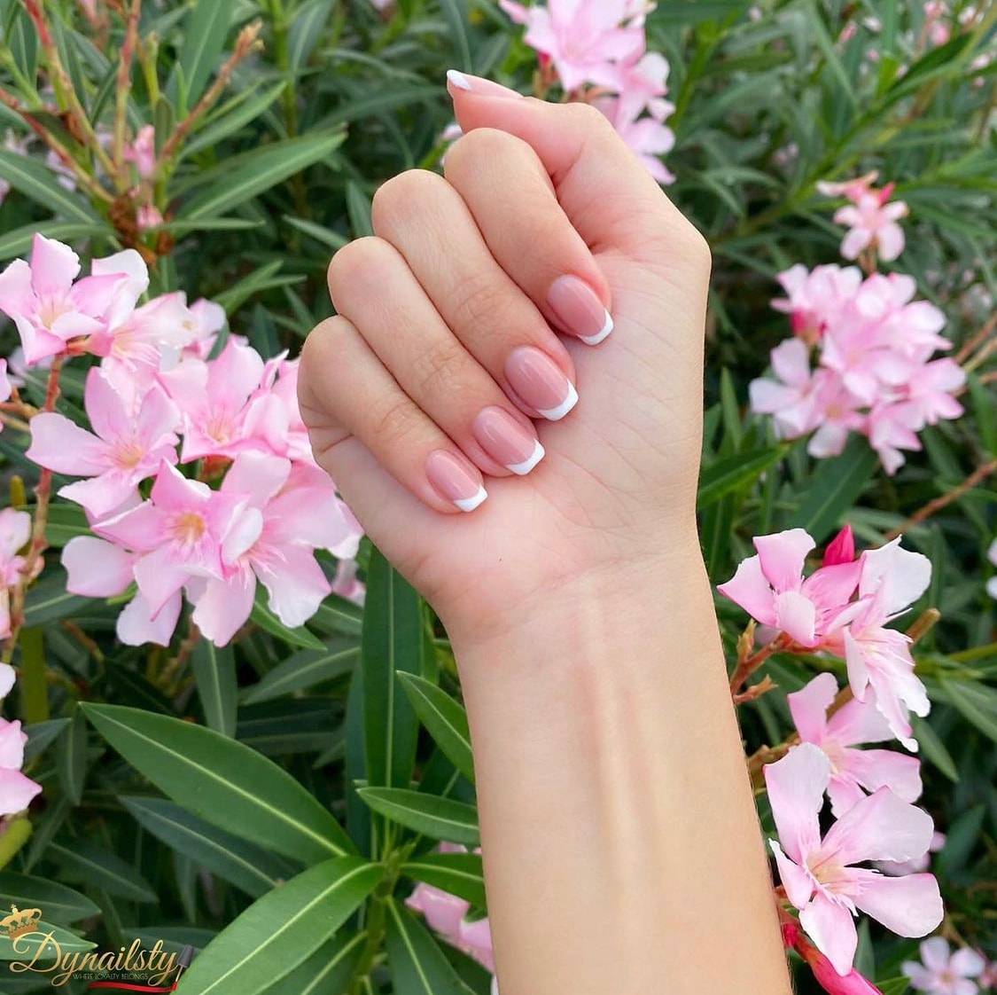Dynailsty nail art