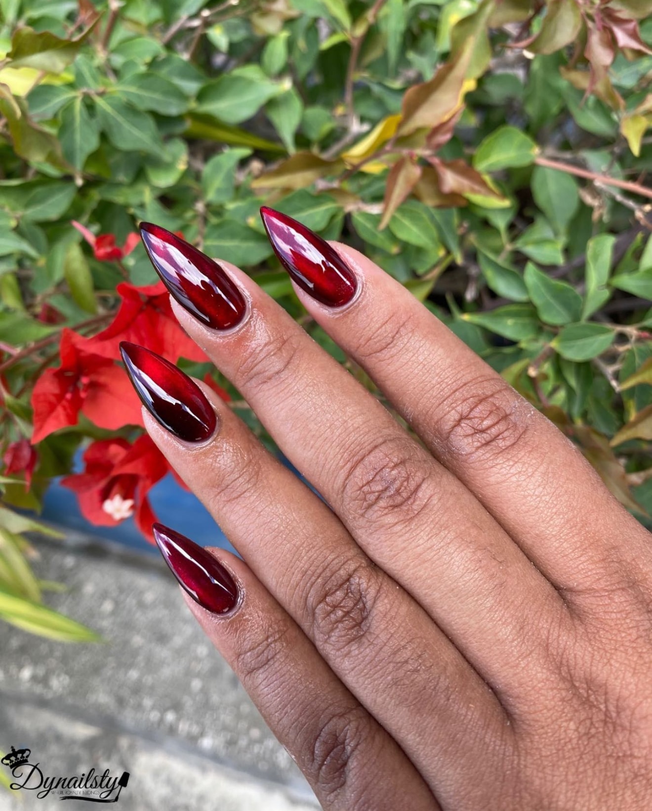 Dynailsty nail art 63