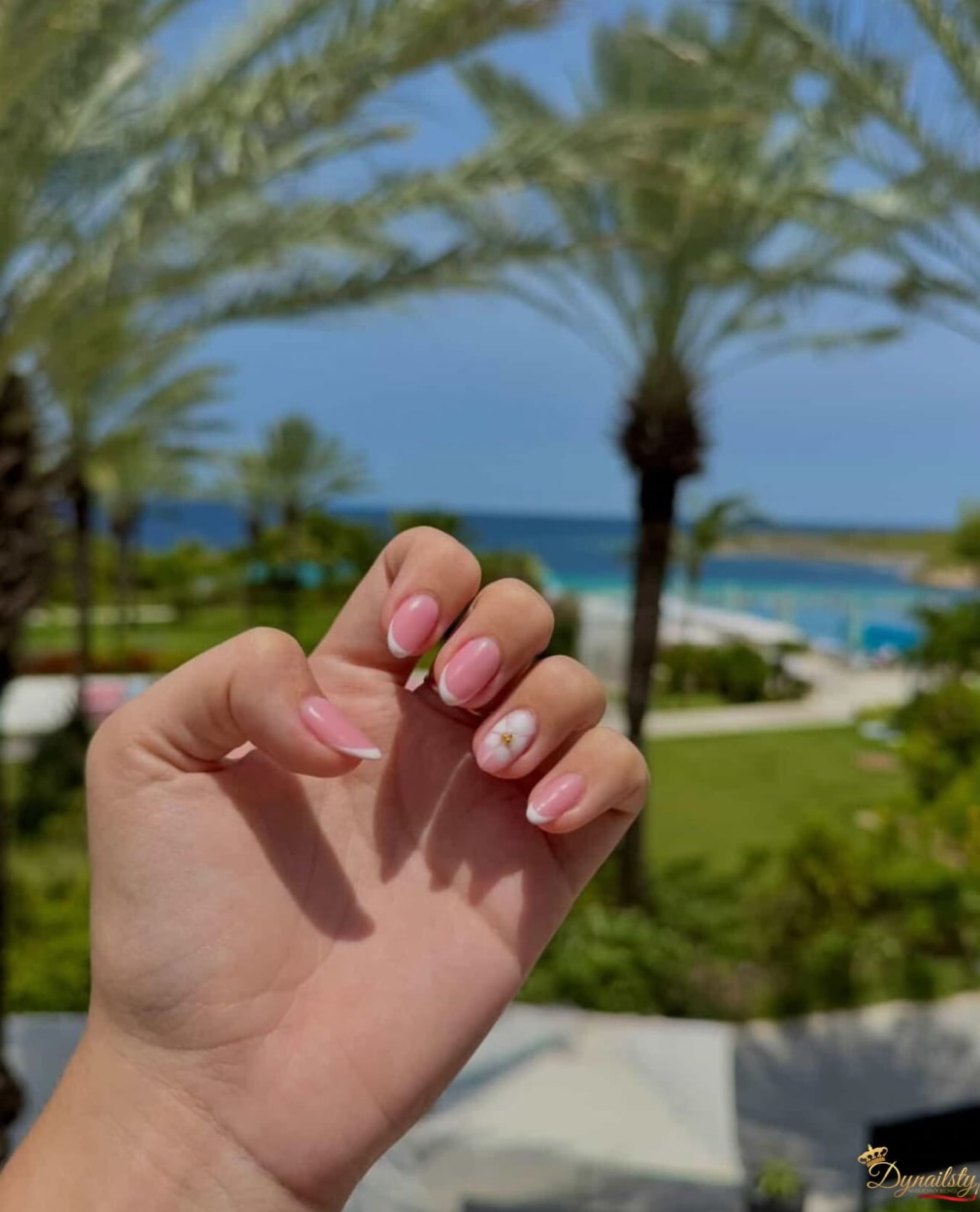 Dynailsty nail art 64