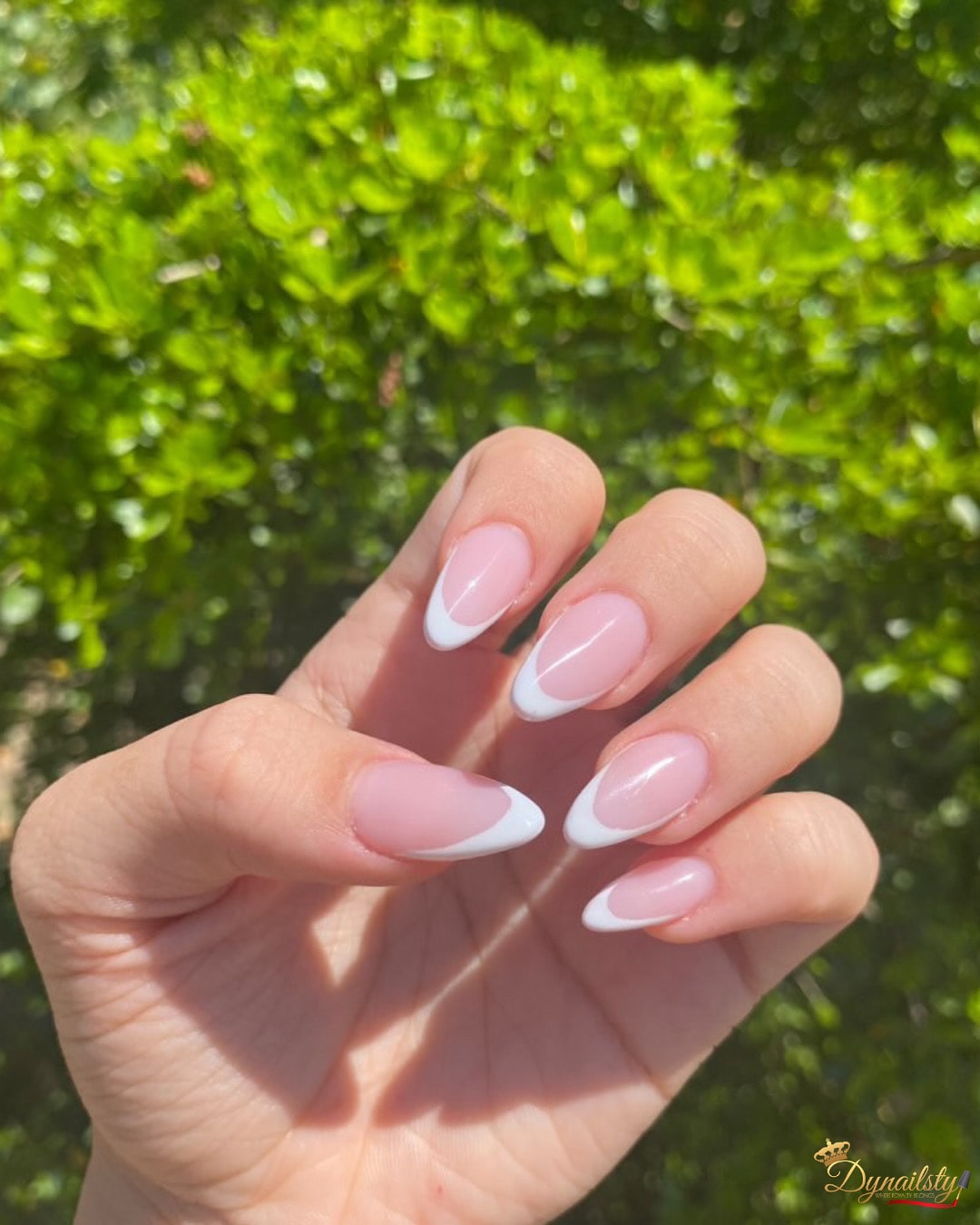 Dynailsty nail art 72